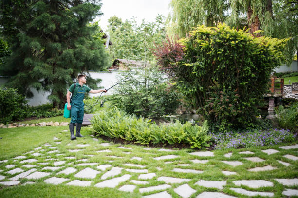 Best Local Pest Control Services  in Fayetteville, GA