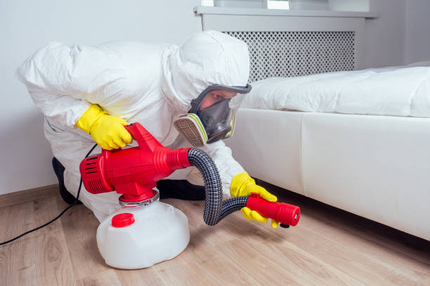 Best Best Pest Control Companies  in Fayetteville, GA
