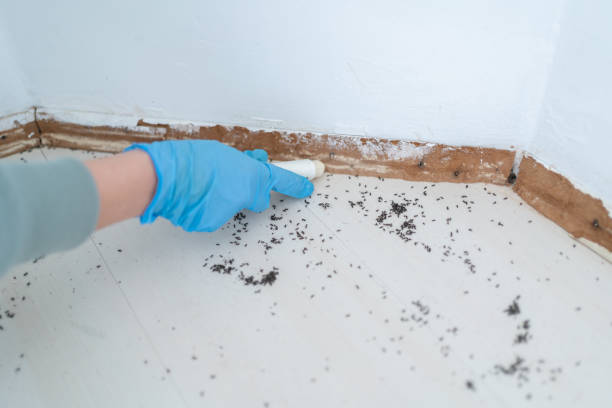 Best Best Pest Control Companies  in Fayetteville, GA