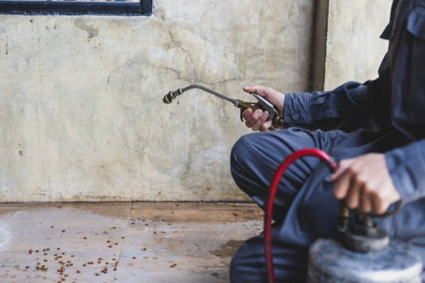 Best Affordable Pest Control Services  in Fayetteville, GA
